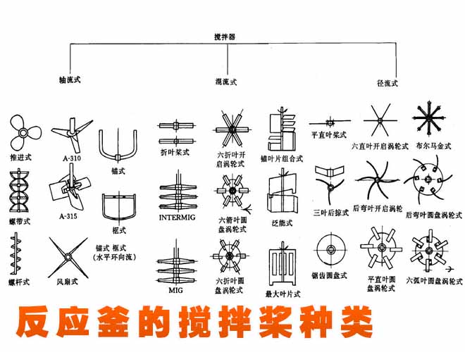 Case 1